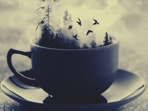 コーヒーカップの中の森
