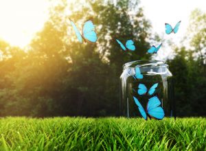 幸せボトル:方法とメリット