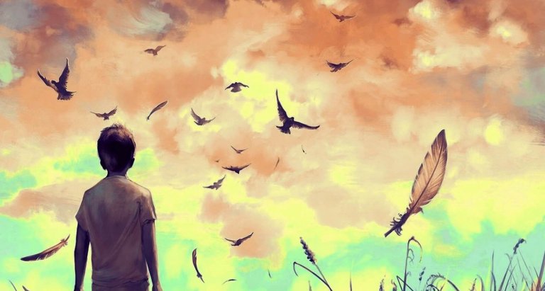 鳥を眺める少年