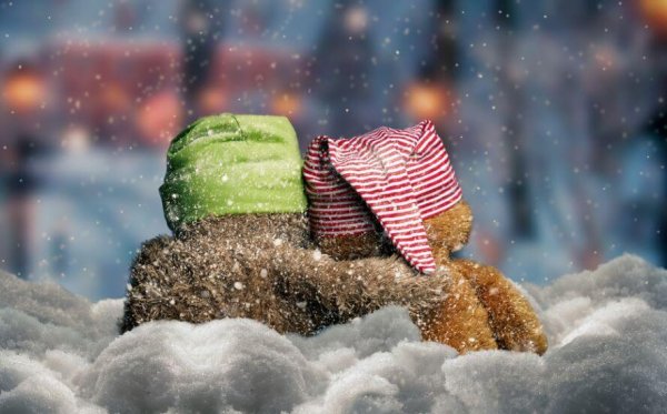 雪と帽子をかぶった動物