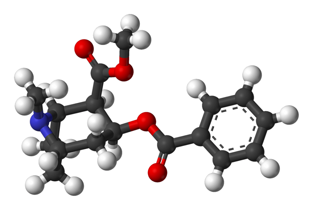 分子