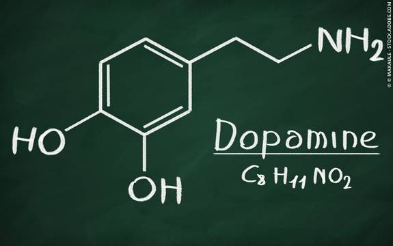 ドーパミンの役割
