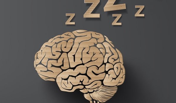 眠る脳