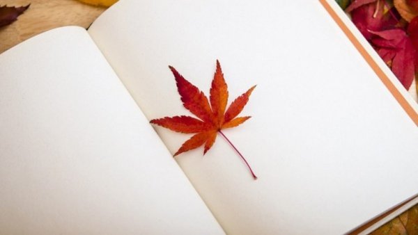紅葉のしおり