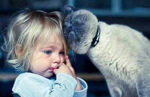 キャットセラピー：ねこと暮らす5つのメリット