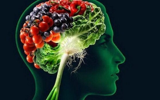 野菜の脳