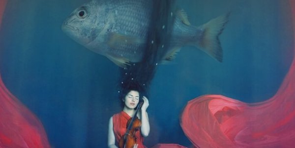 大きな魚と水の中の女性