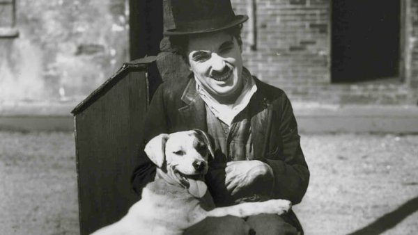チャップリンと犬