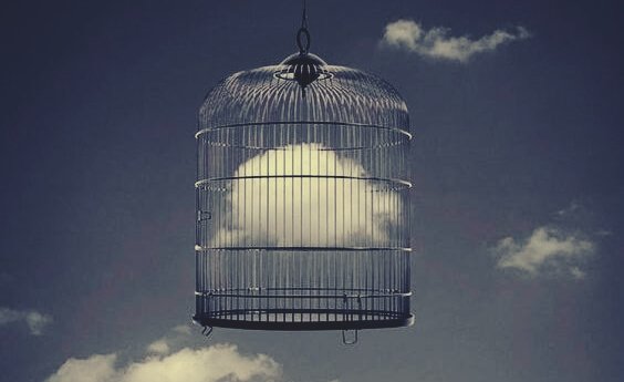 鳥かごの中の雲