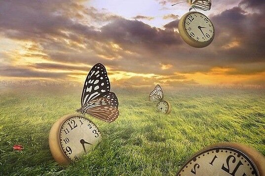 時計と蝶