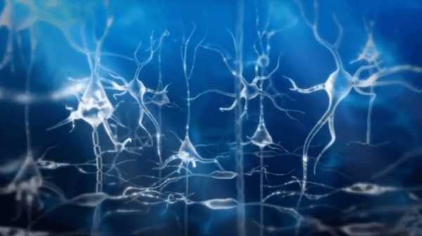 青いニューロン