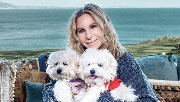 バーバラと犬