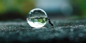 粘り強さが夢へ近づけてくれる