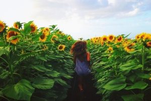 一生に一度だけ:忘れることのない5つの瞬間