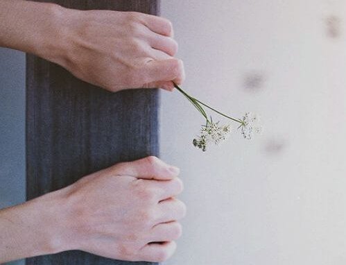 橋で花を掴む手