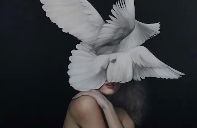ハトに覆われた顔
