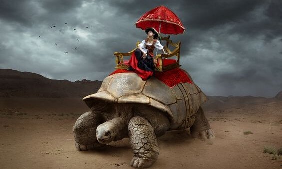 カメに乗った女性