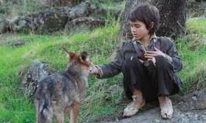 オオカミとの生活:野生の少年の物語