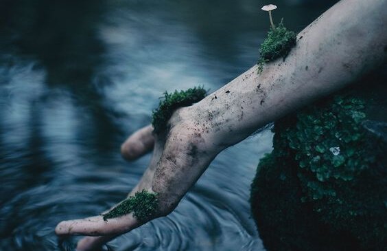 手に苔が生えている