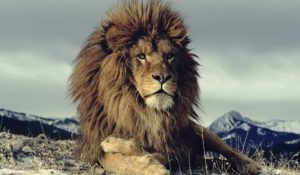 頻繁な怒りの裏にある傲慢