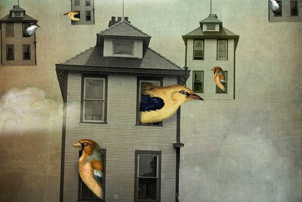 鳥小屋