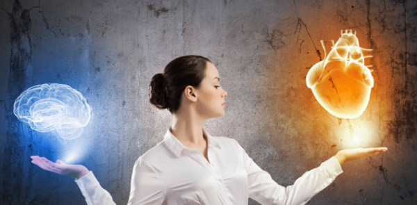 直感を鍛える_心臓と脳