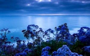 ストレス軽減色:青