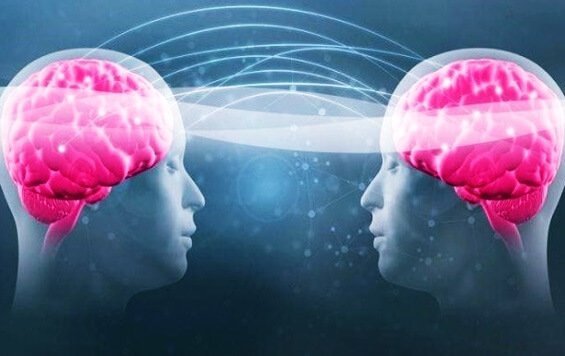 トリプトファンとセロトニン：なぜこれらが健康へつながるのか