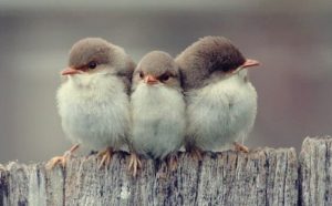 アリストテレスによる3つのタイプの友情