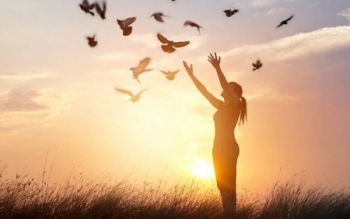 鳥をはなす女性