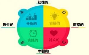 ハーマンモデルによる利き脳:あなたは何タイプ?