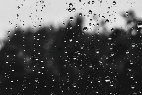 雨