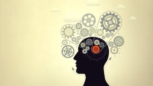 知能を向上する:7つの天才トリック
