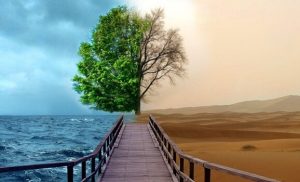 うつ治療のためのゲシュタルト療法の4つのカギ