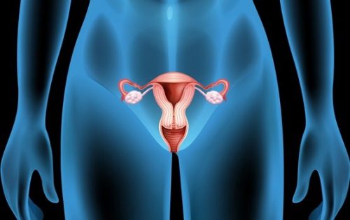 卵巣嚢腫：症状、原因、治療