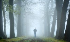 精神分析におけるフォレストテスト