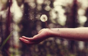 裏切られた傷を癒す