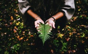 心の安らぎと忍耐強さが人生の意味を見つける鍵