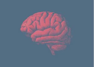 脳はなぜ老いていくのか?遺伝子にある答え