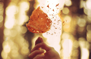 感情的な痛みを表現する5つのカギ