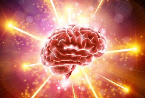 光る脳