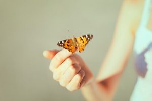 変更:振り返らずに変化を起こす