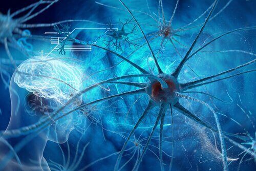 脳と神経