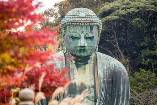 仏教における愛とは