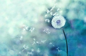 偶然が重なるのは正しい道を歩んでいる証拠