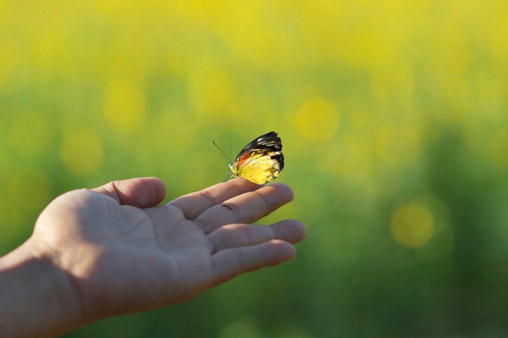 正しくサイクルを終わらせられるようになること