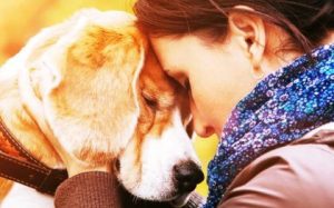 人が動物を愛するようになった理由