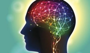 アナンダミド:幸せに影響のある神経伝達物質