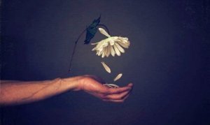 心理的なダメージを残す軽蔑