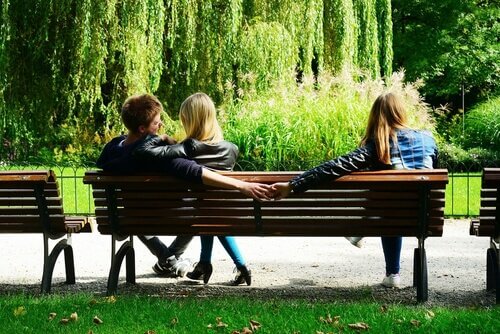 社会的一夫一妻制